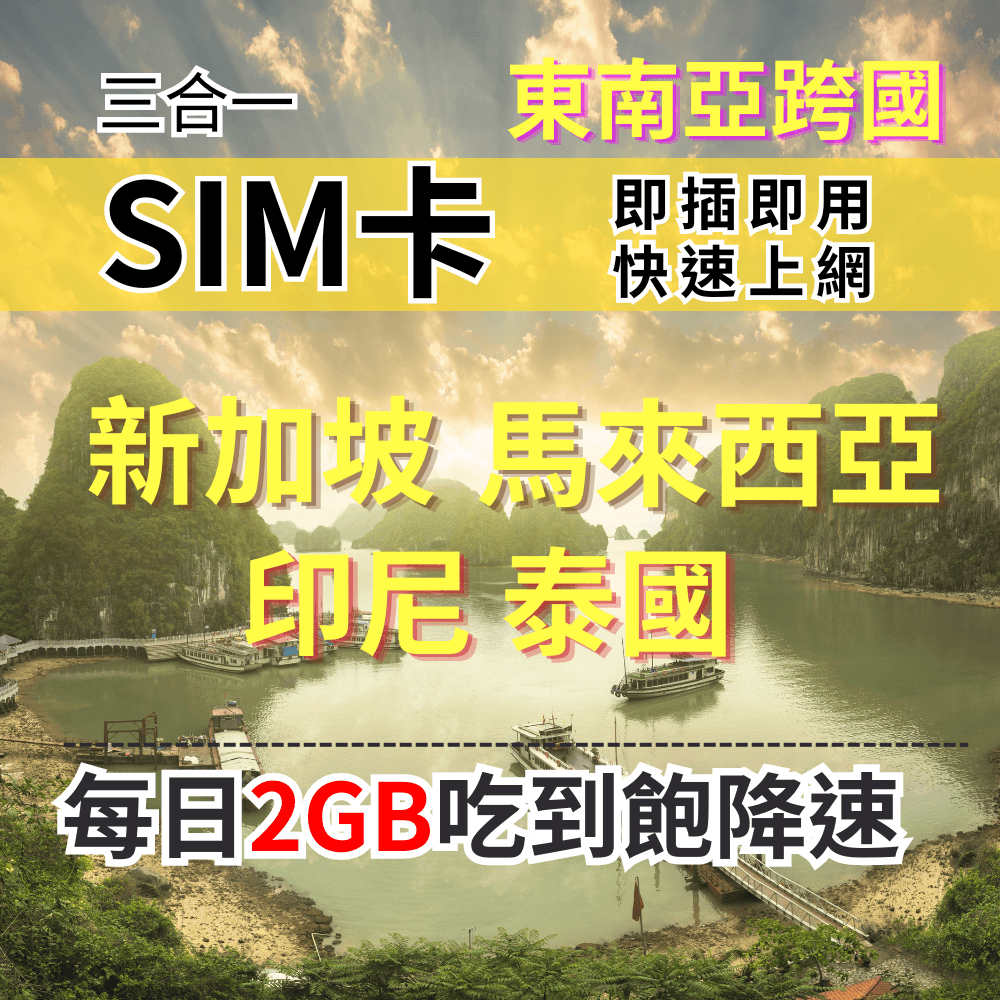 【實體卡】新加坡 馬來西亞 印尼 泰國上網 吃到飽每天2GB 超過降速 SIM卡